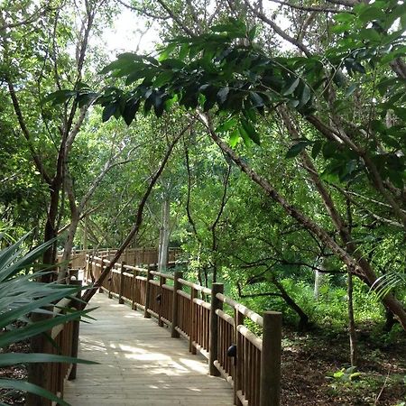 Mayan Palace Vidanta Resort Riviera Maya Puerto Morelos Luaran gambar