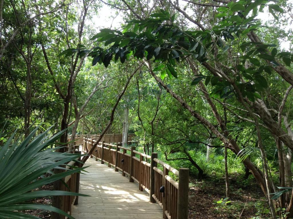 Mayan Palace Vidanta Resort Riviera Maya Puerto Morelos Luaran gambar